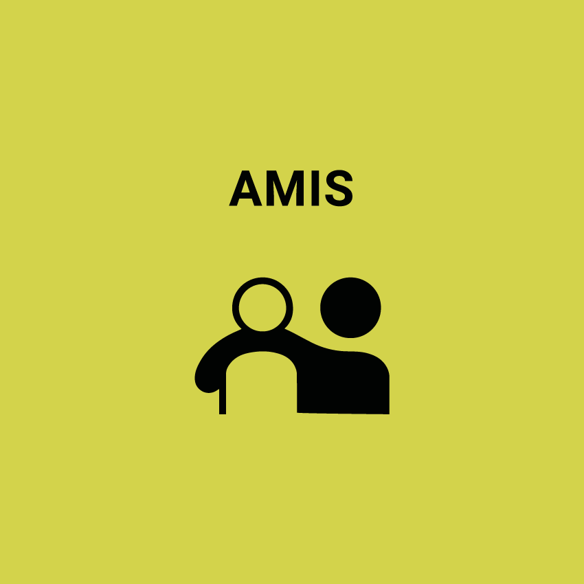 amis-1